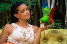 Load image into Gallery viewer, Birdsong Eye Remedy